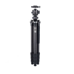 AOKA KG284C Carbon Tripod+BH40R Ball Head, Black