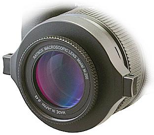 Raynox DCR-250 - MJKZZ.de Europe - Extreme Macro and Panorama